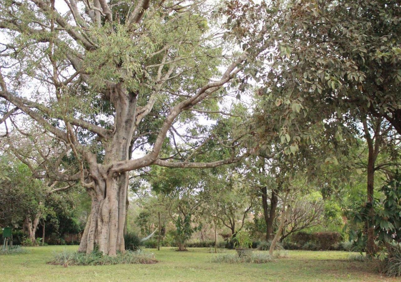 Barefoot Lodge And Safaris - Malawi Lilongwe Exteriör bild